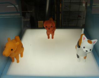 �����̉摜