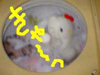 ���悢�您���C���L�e�B����