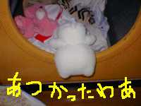 ����ƏI���L�e�B����